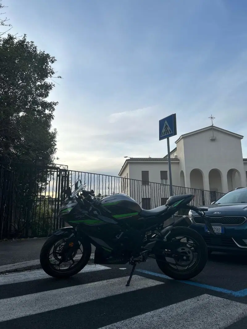 Kawasaki Ninja 125 (2021 - 24) (4)