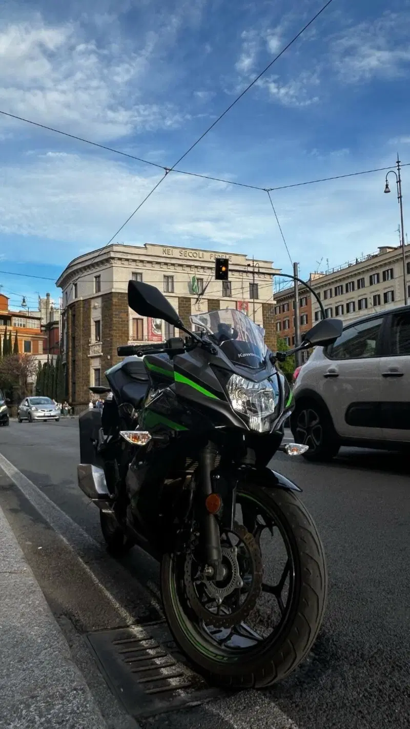 Kawasaki Ninja 125 (2021 - 24) (5)
