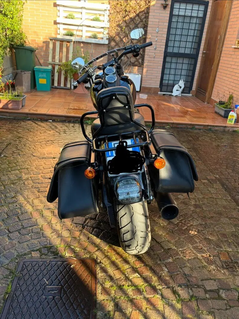 Harley-Davidson 114 Low Rider S (2020) - FXLRS (2)