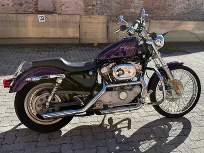 Harley-Davidson 883 Custom (2001 - 05) - XL 53C usata
