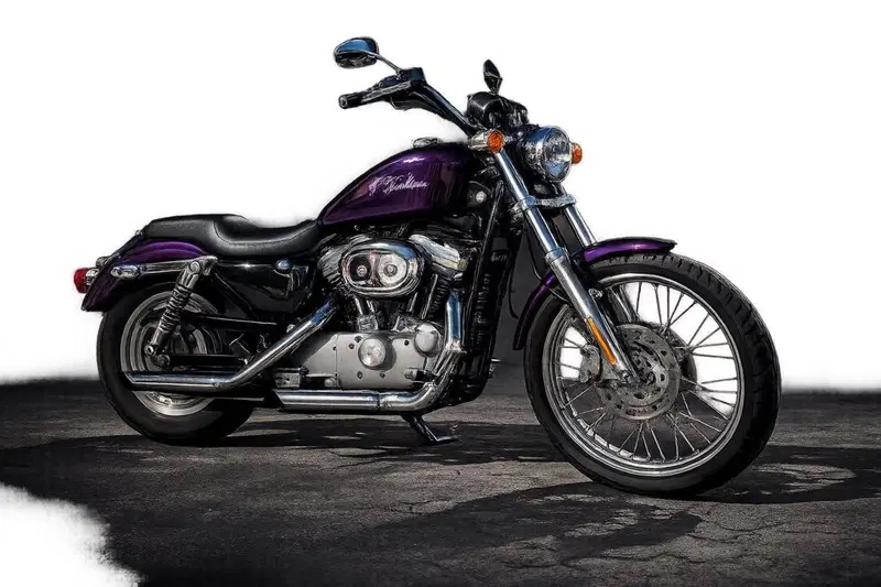 Harley-Davidson 883 Custom (2001 - 05) - XL 53C (5)