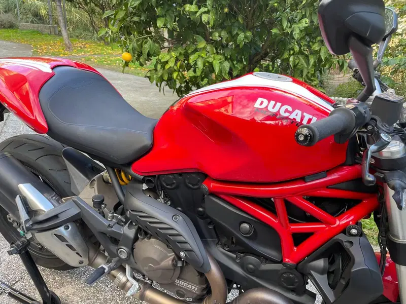 Ducati Monster 821 Stripe ABS (2015 - 17) (4)