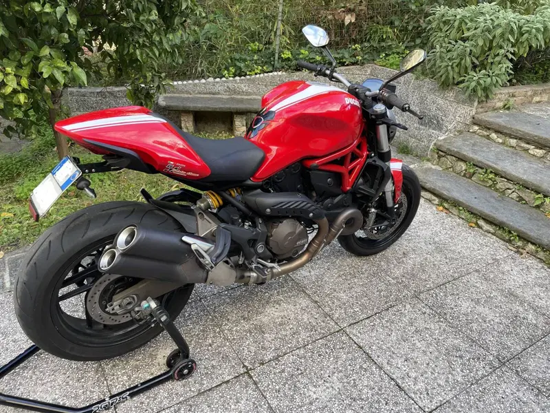 Ducati Monster 821 Stripe ABS (2015 - 17) (6)