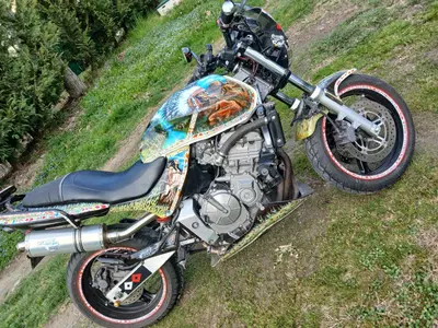 Honda Hornet 600 (2000 - 02) usata