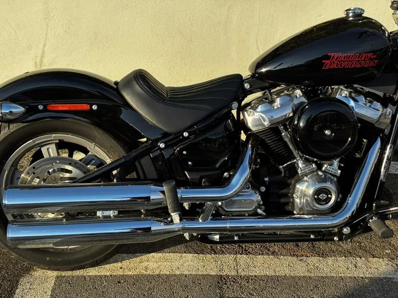Harley-Davidson Softail Standard (2021 - 25) (2)