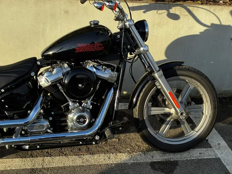 Harley-Davidson Softail Standard (2021 - 25)