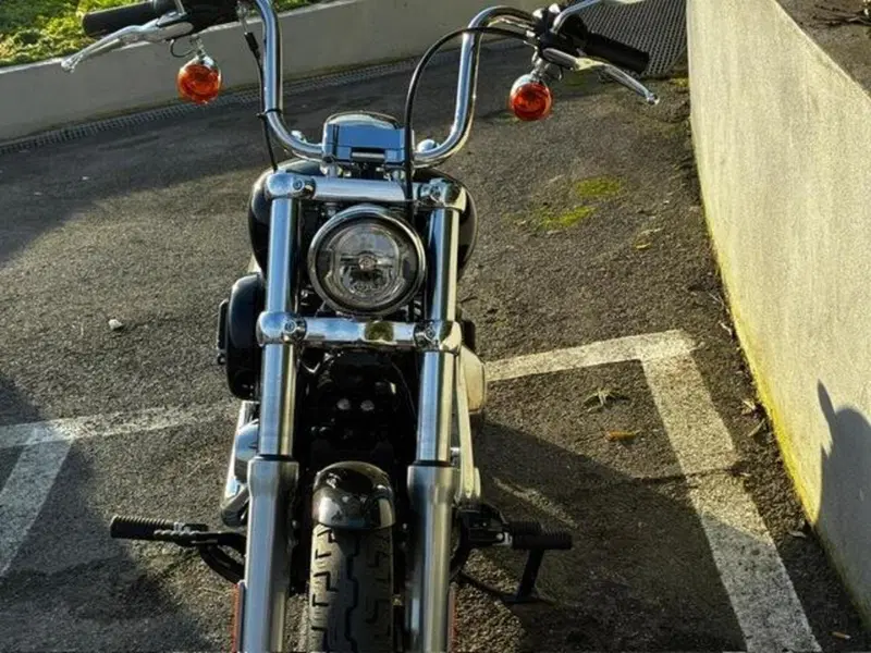 Harley-Davidson Softail Standard (2021 - 25) (3)