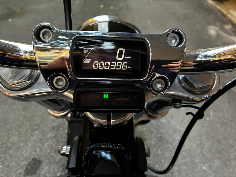 Harley-Davidson Softail Standard (2021 - 25) (4)