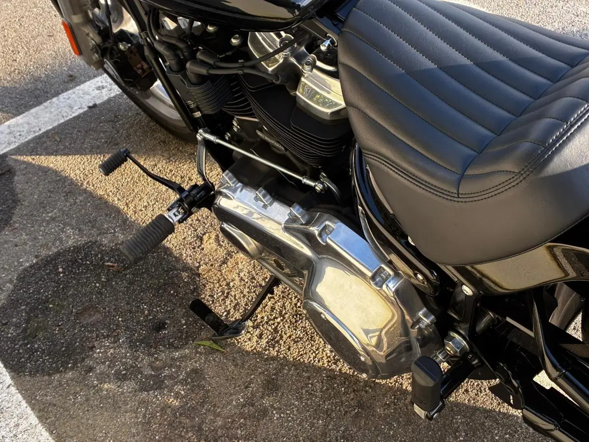 Harley-Davidson Softail Standard (2021 - 25) (6)