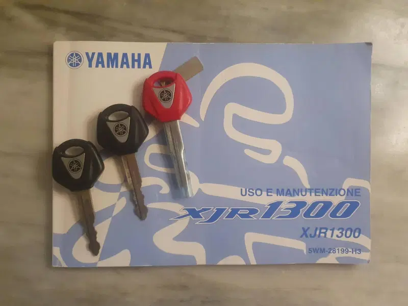 Yamaha XJR 1300 (2002 - 06) (8)