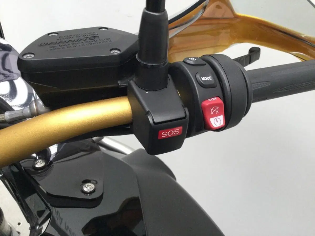 Bmw R 1250 GS Adventure (2021 - 24) (14)
