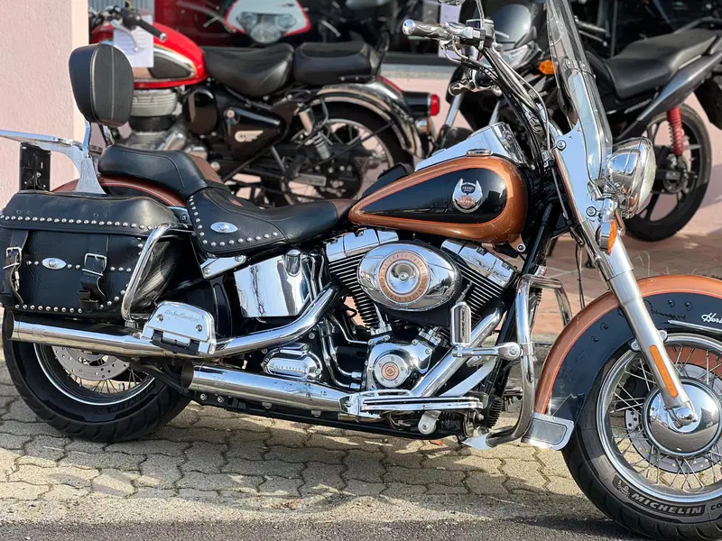 Harley-Davidson 1584 Heritage Classic (2008 - 10) - FLSTC (3)