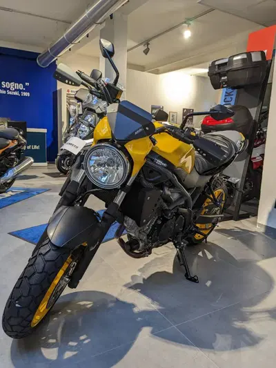 Suzuki SV650 (2021 - 24) usata