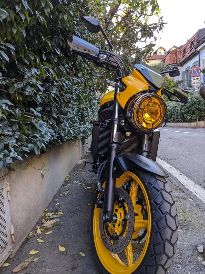 Suzuki SV650 (2021 - 24) (3)