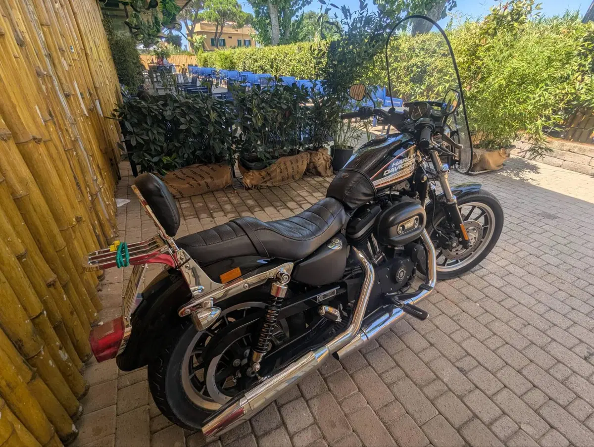 Harley-Davidson 883 R (2008 - 16) - XL 883R (7)