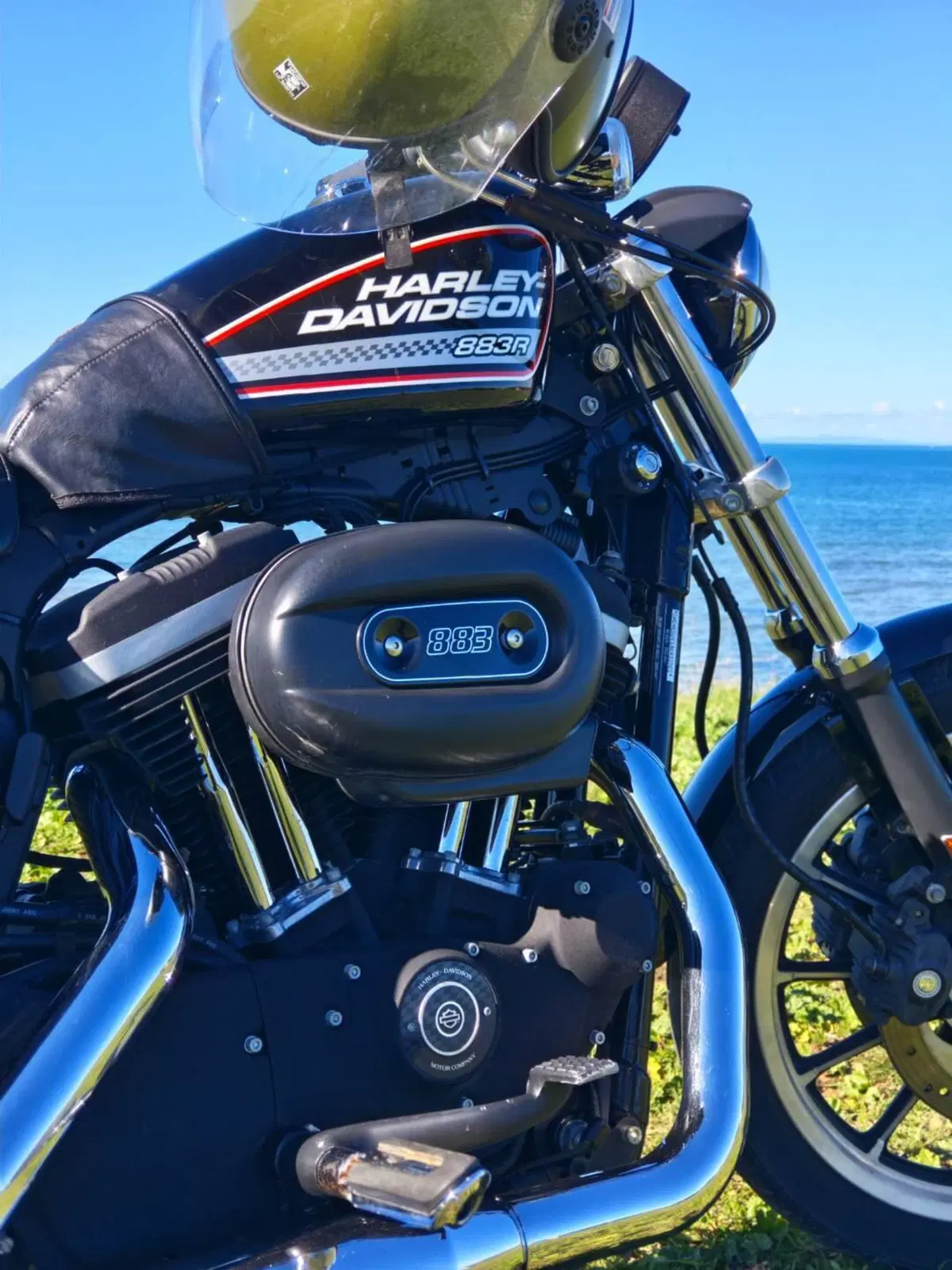 Harley-Davidson 883 R (2008 - 16) - XL 883R (16)