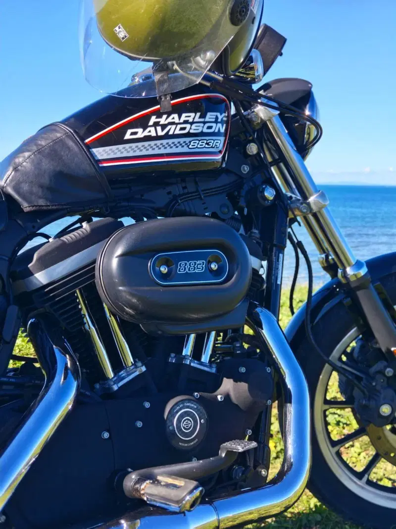 Harley-Davidson 883 R (2008 - 16) - XL 883R (18)