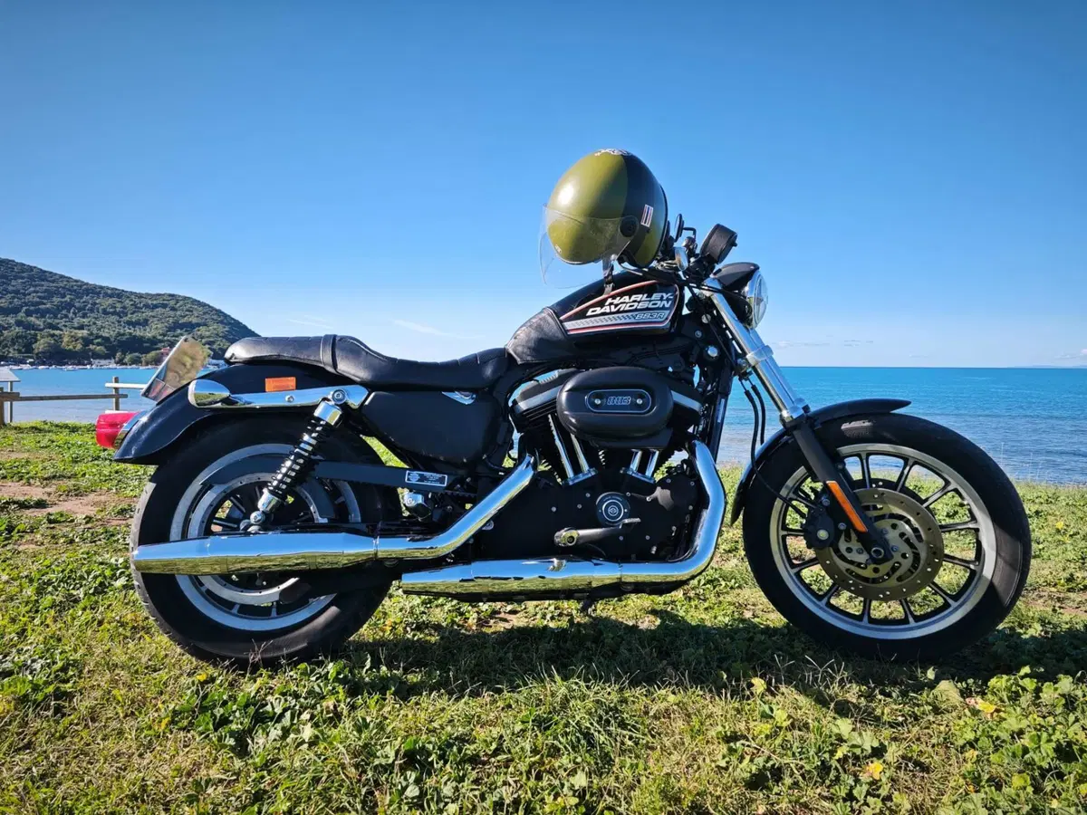Harley-Davidson 883 R (2008 - 16) - XL 883R (18)