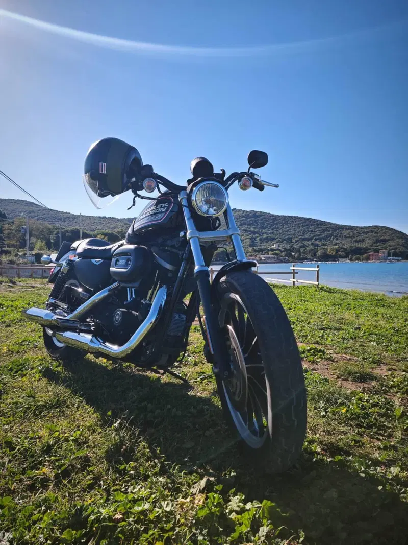 Harley-Davidson 883 R (2008 - 16) - XL 883R (20)