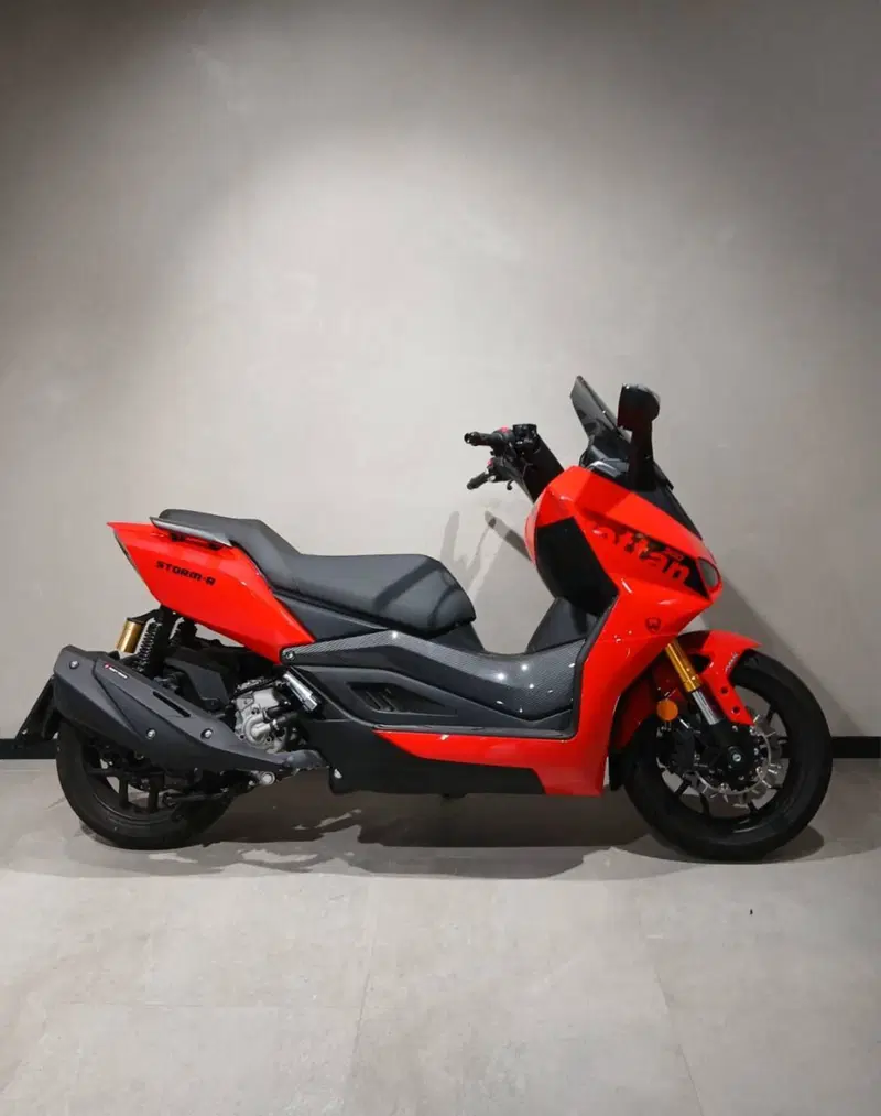 Wottan Motor Storm-R 300 (2023 - 25)