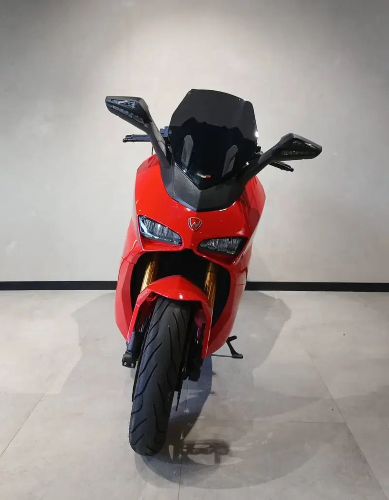 Wottan Motor Storm-R 300 (2023 - 25) (3)