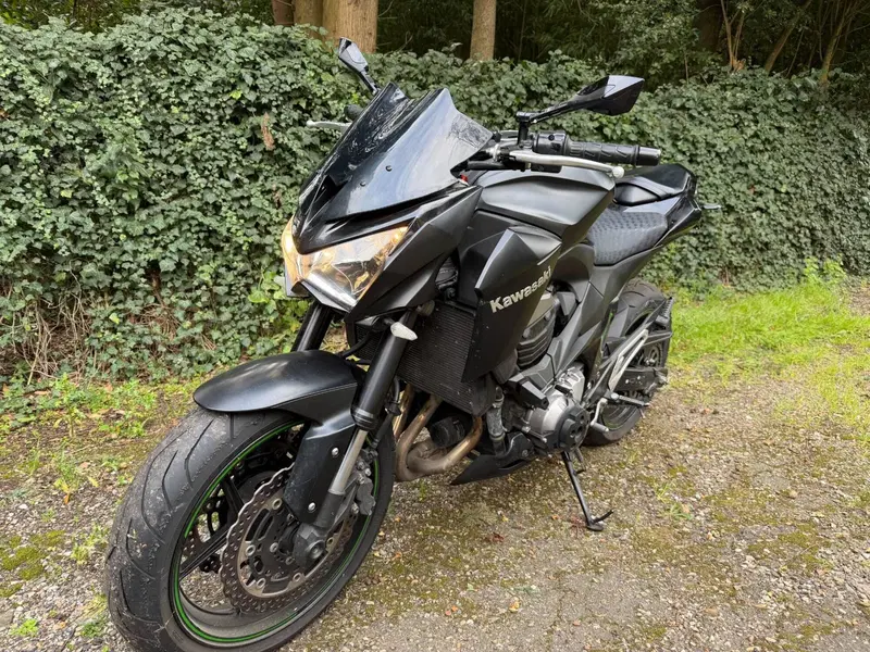 Kawasaki Z 800 e ABS (2012 - 16) (5)