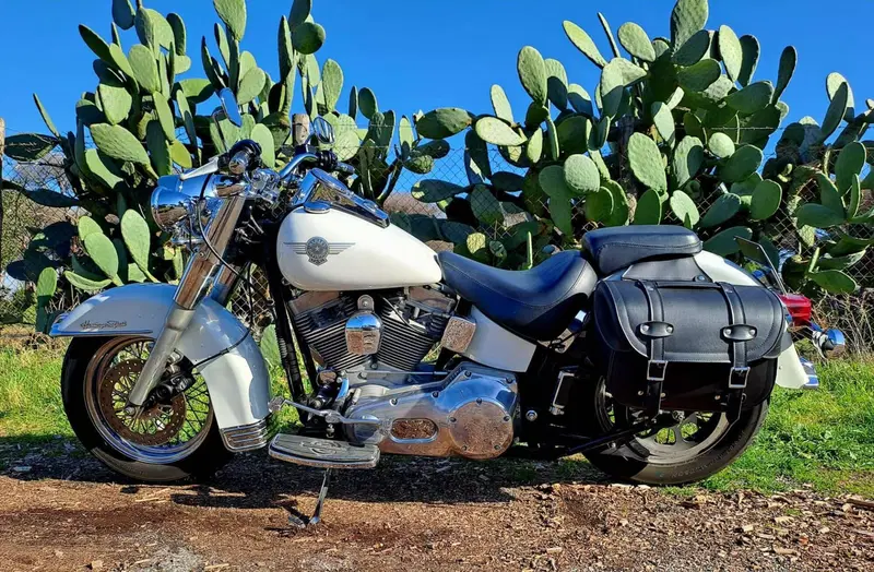 Harley-Davidson 1450 Heritage Classic (2006 - 07) - FLSTCI (10)