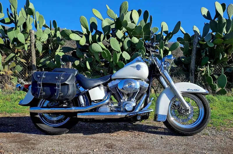 Harley-Davidson 1450 Heritage Classic (2006 - 07) - FLSTCI (14)