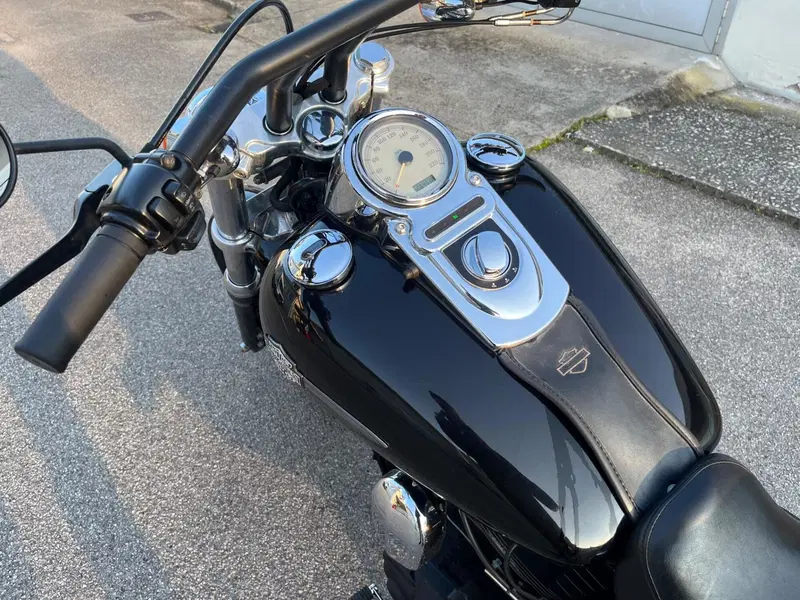 Harley-Davidson 1584 Fat Bob (2007 - 13) - FXDF (11)