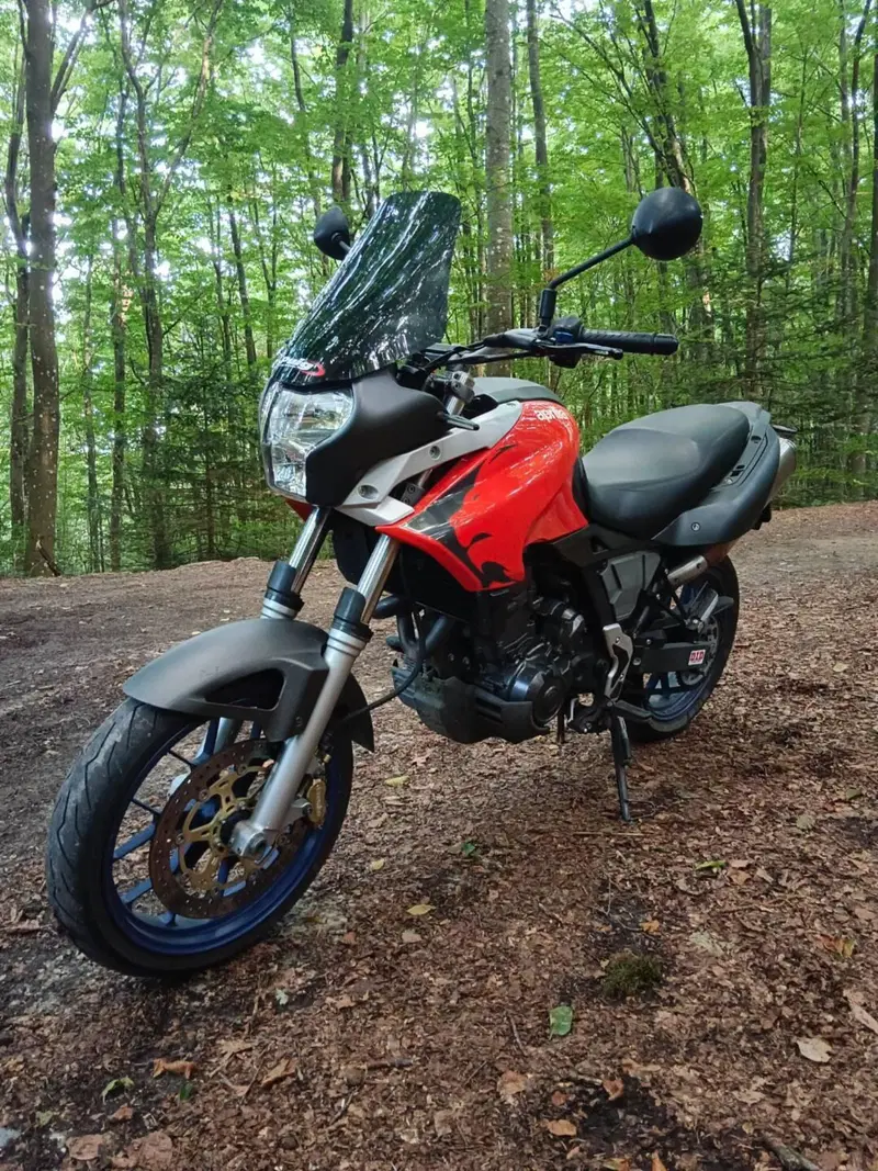 Aprilia Pegaso 650 Strada (2005 - 11) (3)