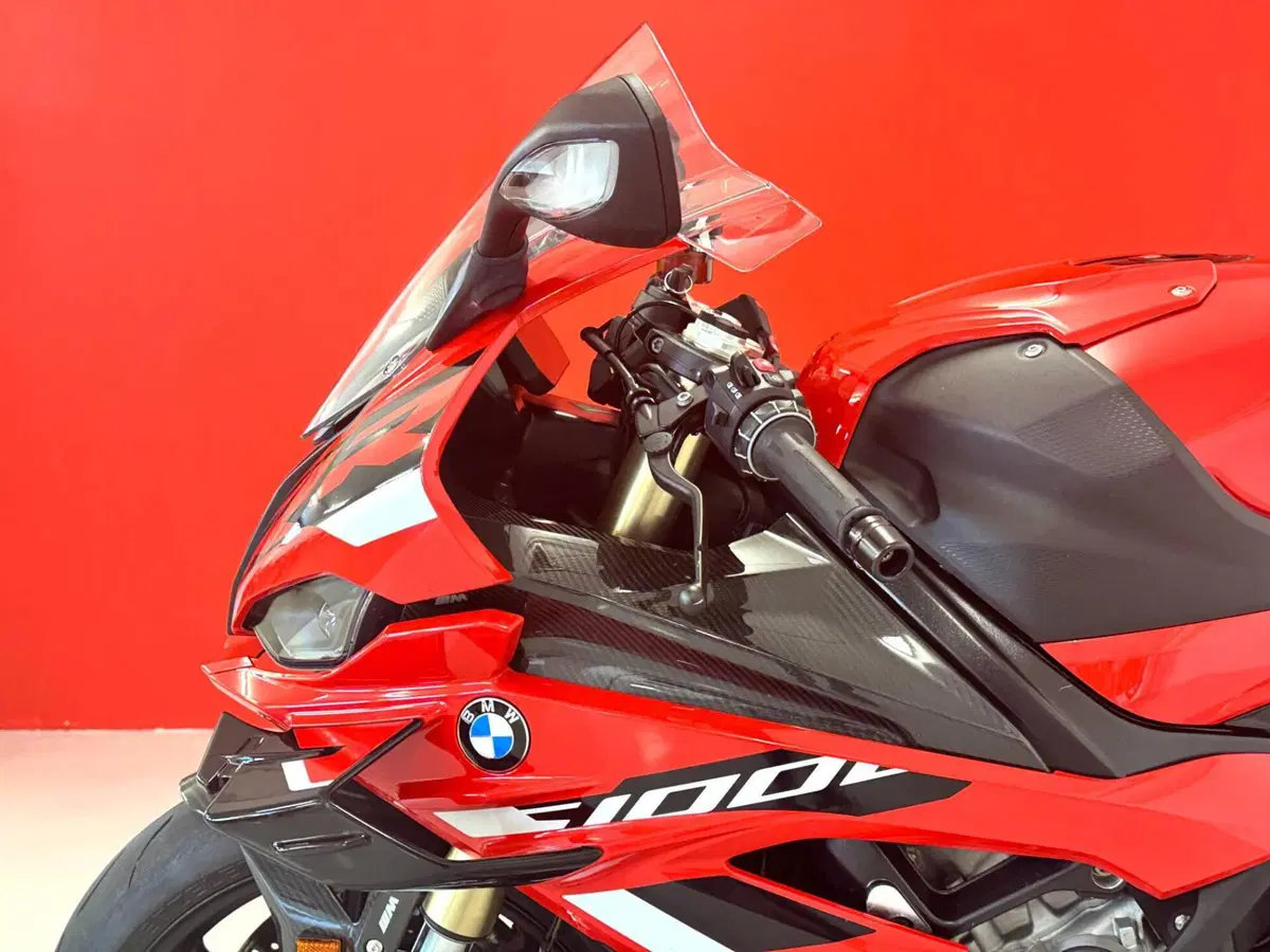Bmw S 1000 RR (2023 - 24) (14)
