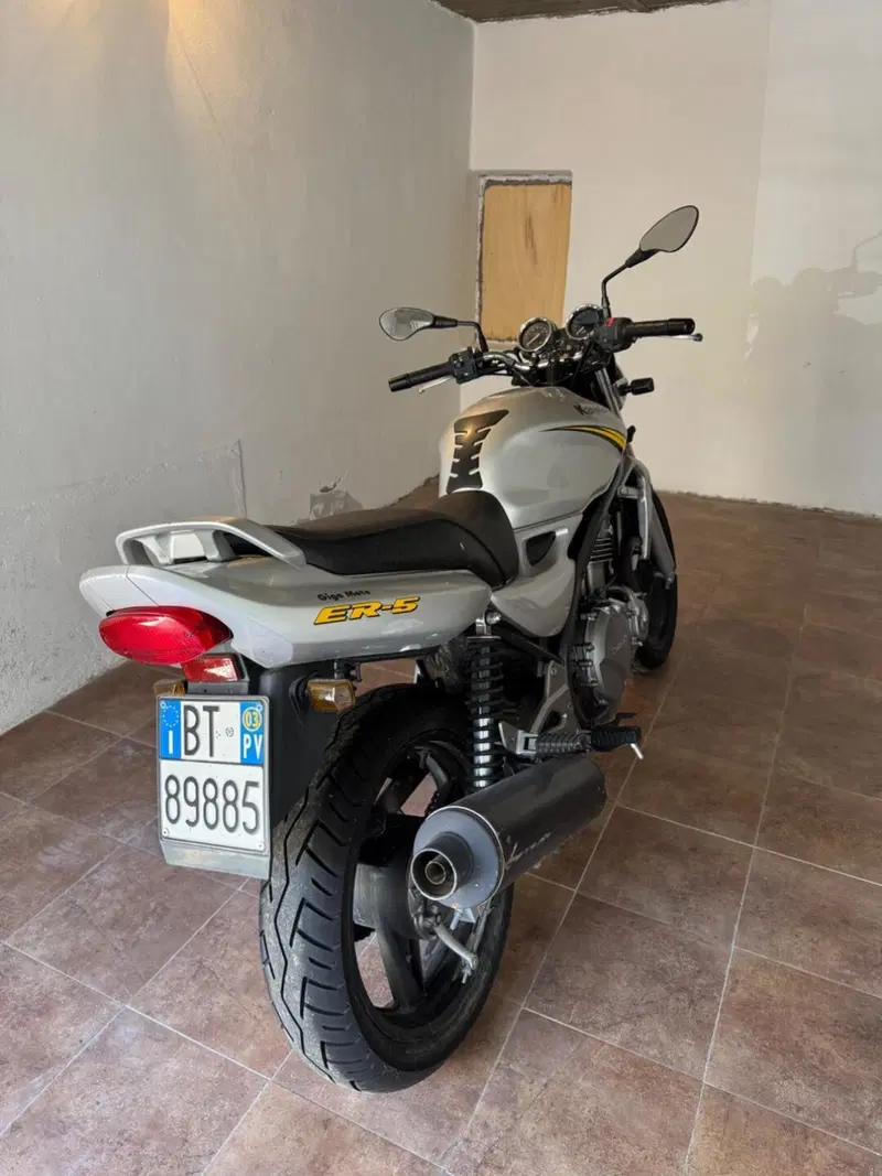 Kawasaki ER-5 500 (2001 - 06) (4)