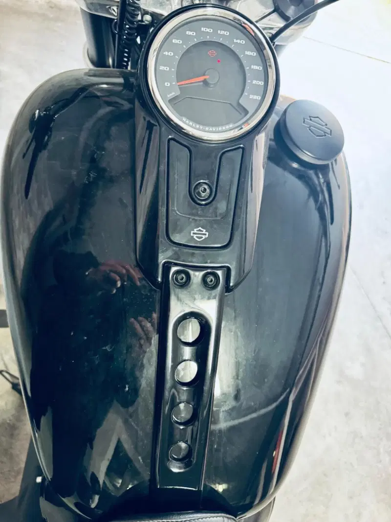 Harley-Davidson Sport Glide (2021 - 25) (6)