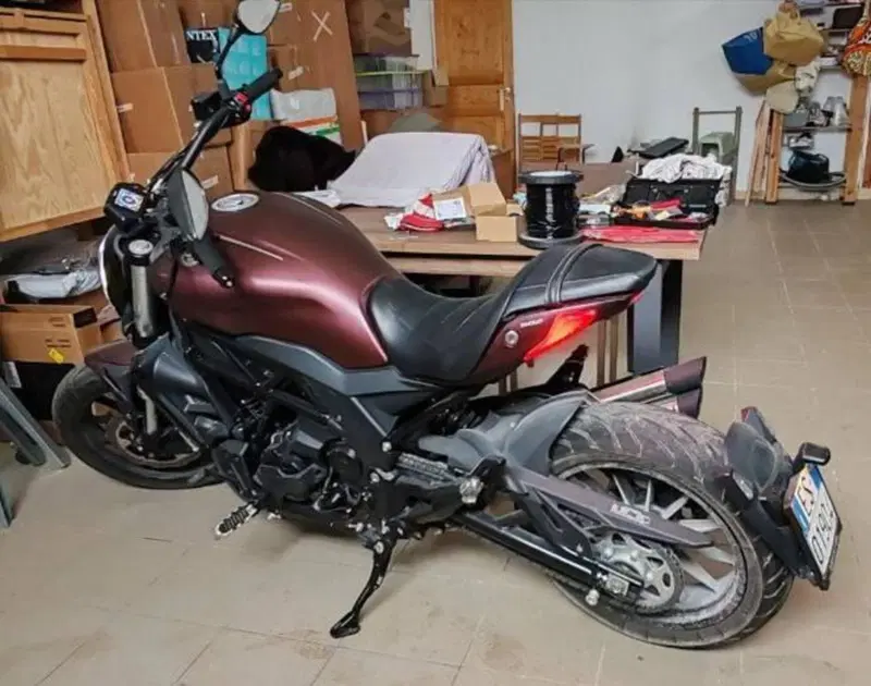 Benelli 502 C (2019 - 20) (4)