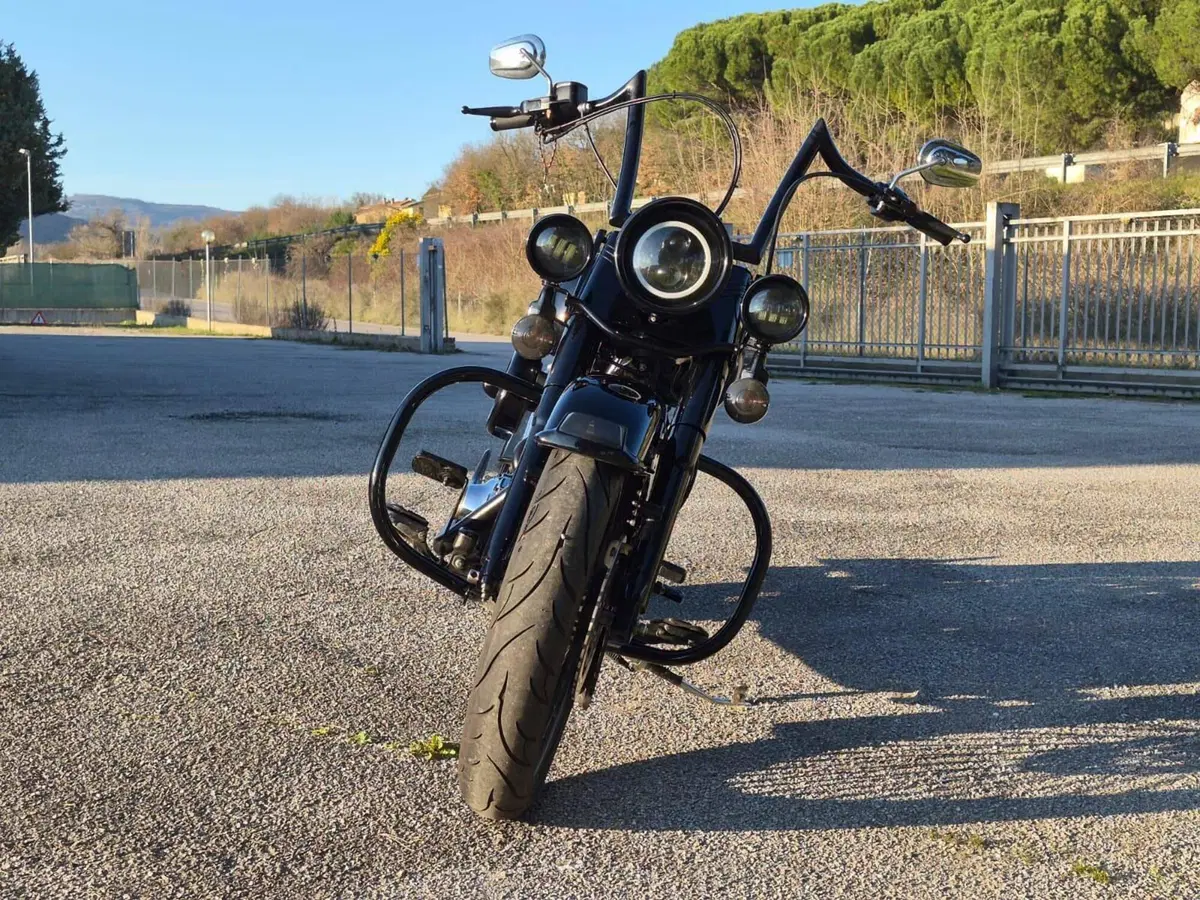 Harley-Davidson 1450 Heritage Classic (1999 - 02) - FLSTC (4)