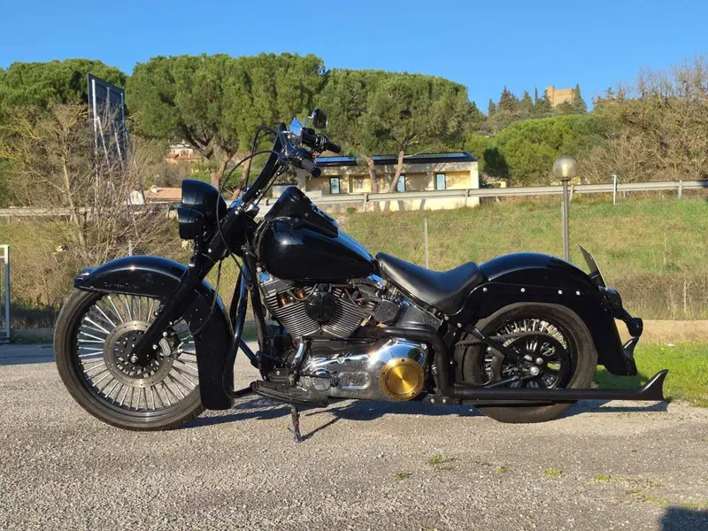 Harley-Davidson 1450 Heritage Classic (1999 - 02) - FLSTC (8)