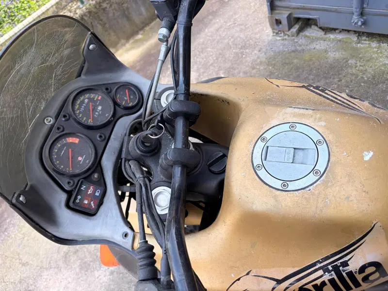 Aprilia Pegaso 650 IE (2001 - 02) (3)