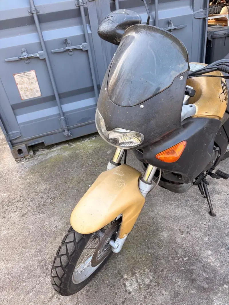 Aprilia Pegaso 650 IE (2001 - 02) (5)