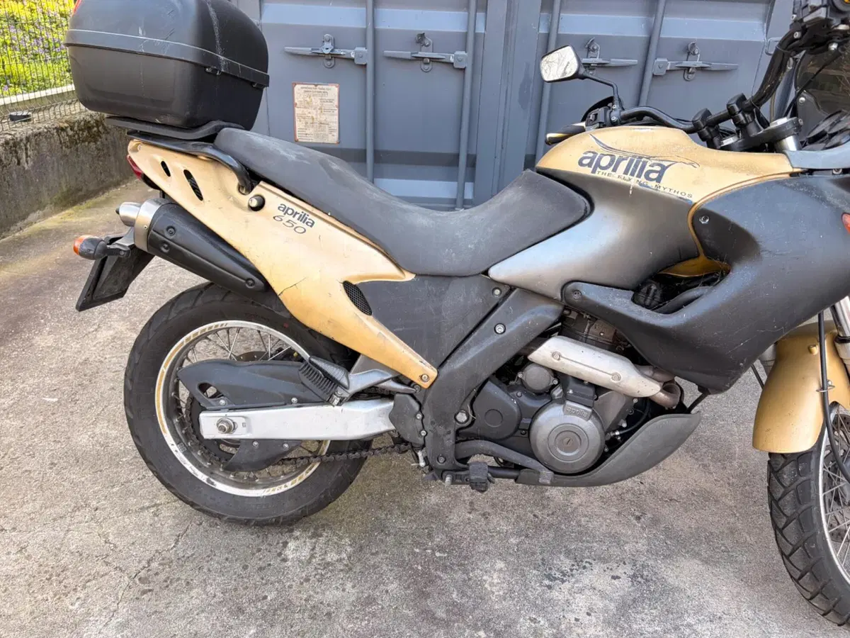 Aprilia Pegaso 650 IE (2001 - 02) (7)