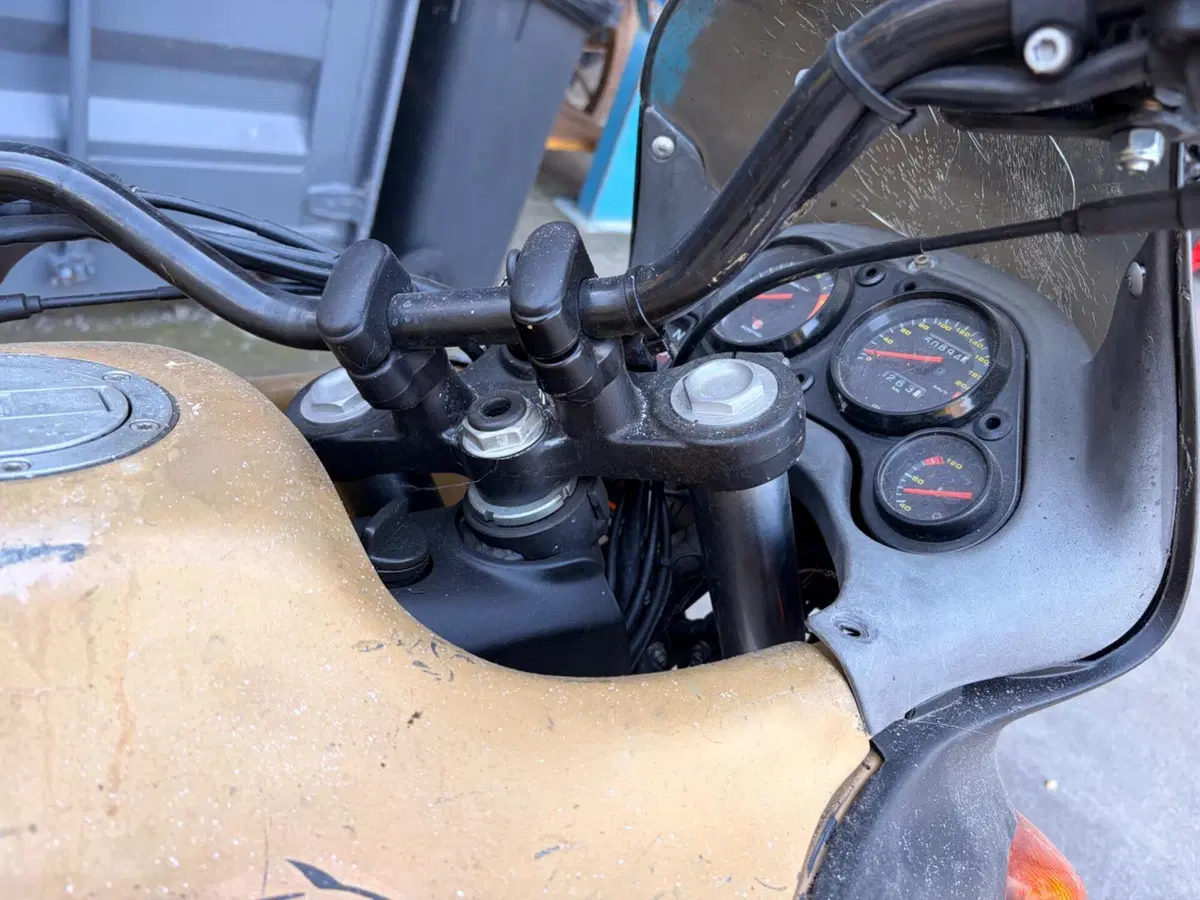 Aprilia Pegaso 650 IE (2001 - 02) (9)