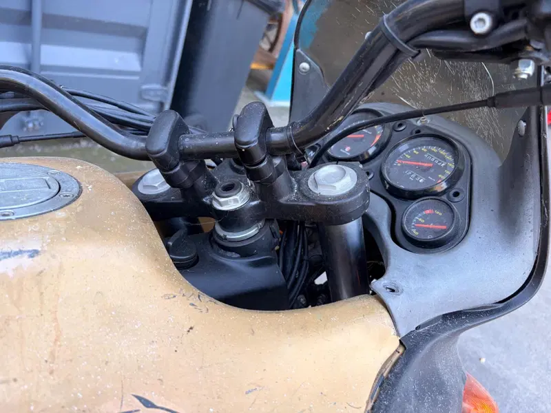 Aprilia Pegaso 650 IE (2001 - 02) (9)