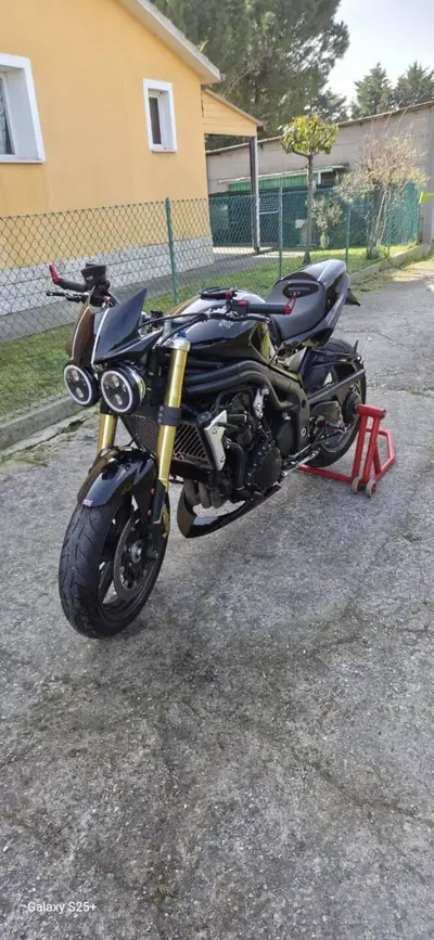 Triumph Speed Triple 1050 (2005 - 11) usata