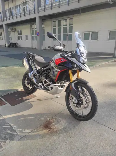 Triumph Tiger 900 Rally Pro (2024 - 26) usata