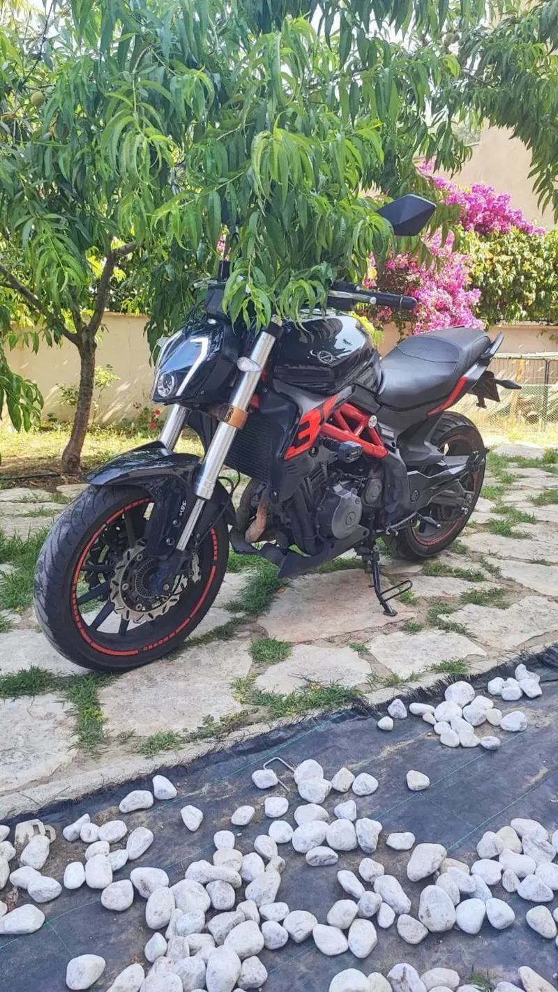 Benelli BN 302 S (2019 - 20)