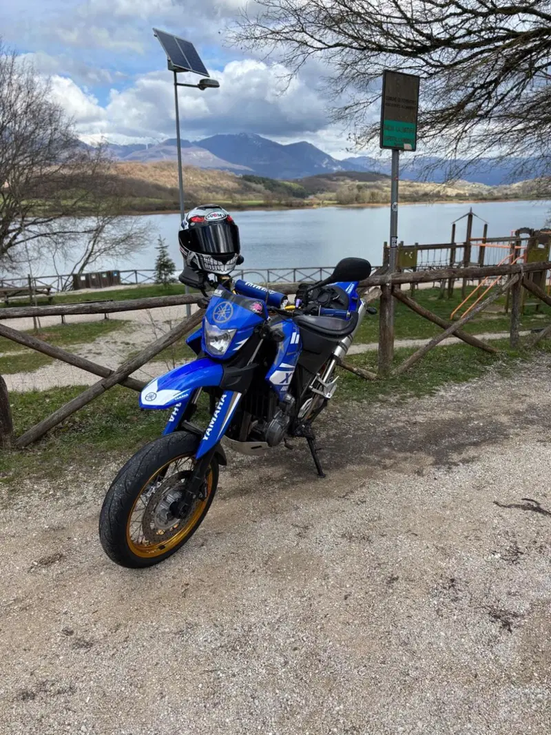Yamaha XT 660 X (2004 - 16)