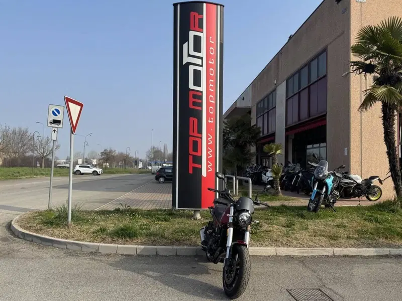 Benelli Leoncino 500 (2021 - 25) (6)
