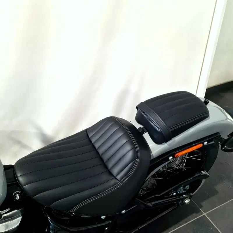 Harley-Davidson Street Bob 117 (2025 - 26) (7)
