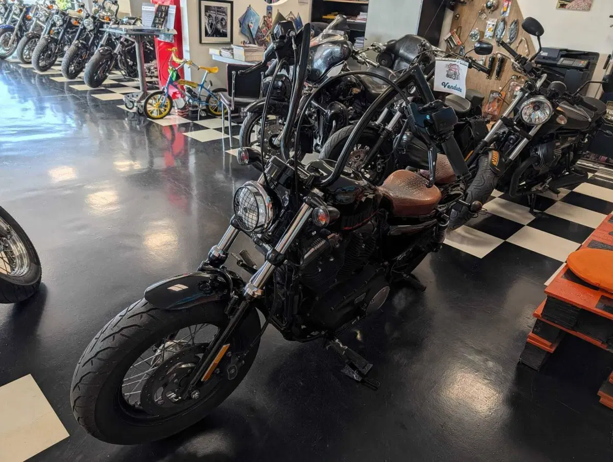Harley-Davidson 1200 Forty-Eight (2010 - 15) (6)