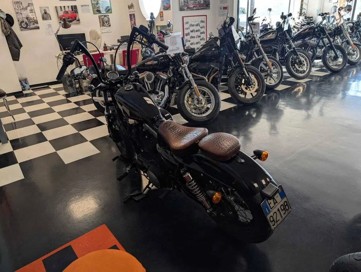 Harley-Davidson 1200 Forty-Eight (2010 - 15) (7)