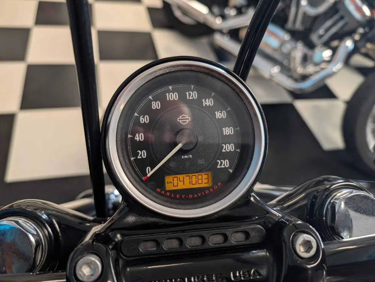 Harley-Davidson 1200 Forty-Eight (2010 - 15) (12)